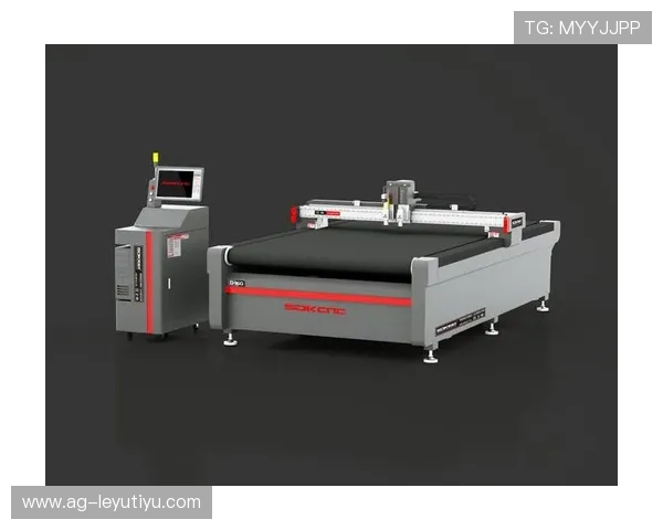 乐鱼登录官网首页的详细入口流程及常见问题解决方案推荐